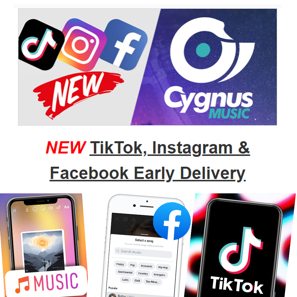 How to Get Verified on TikTok for Musicians