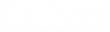 AFEM Logo